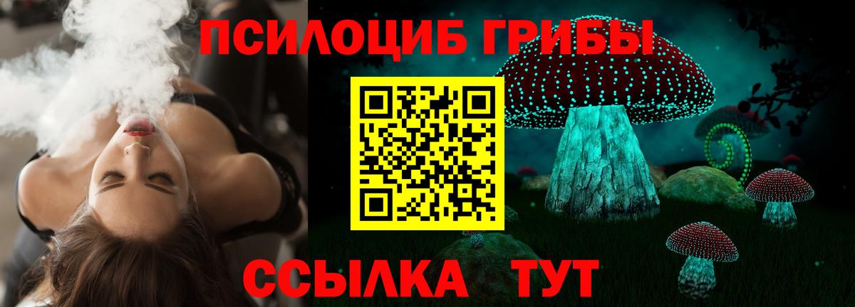 Галлюциногенные грибы мицелий  Вход с VPN  Киселёвск 
